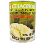 Young Green Jackfruit Thumbnail